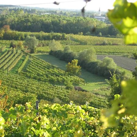 Capriva Del Friuli - Casa Roncus Villa Kültér fotó