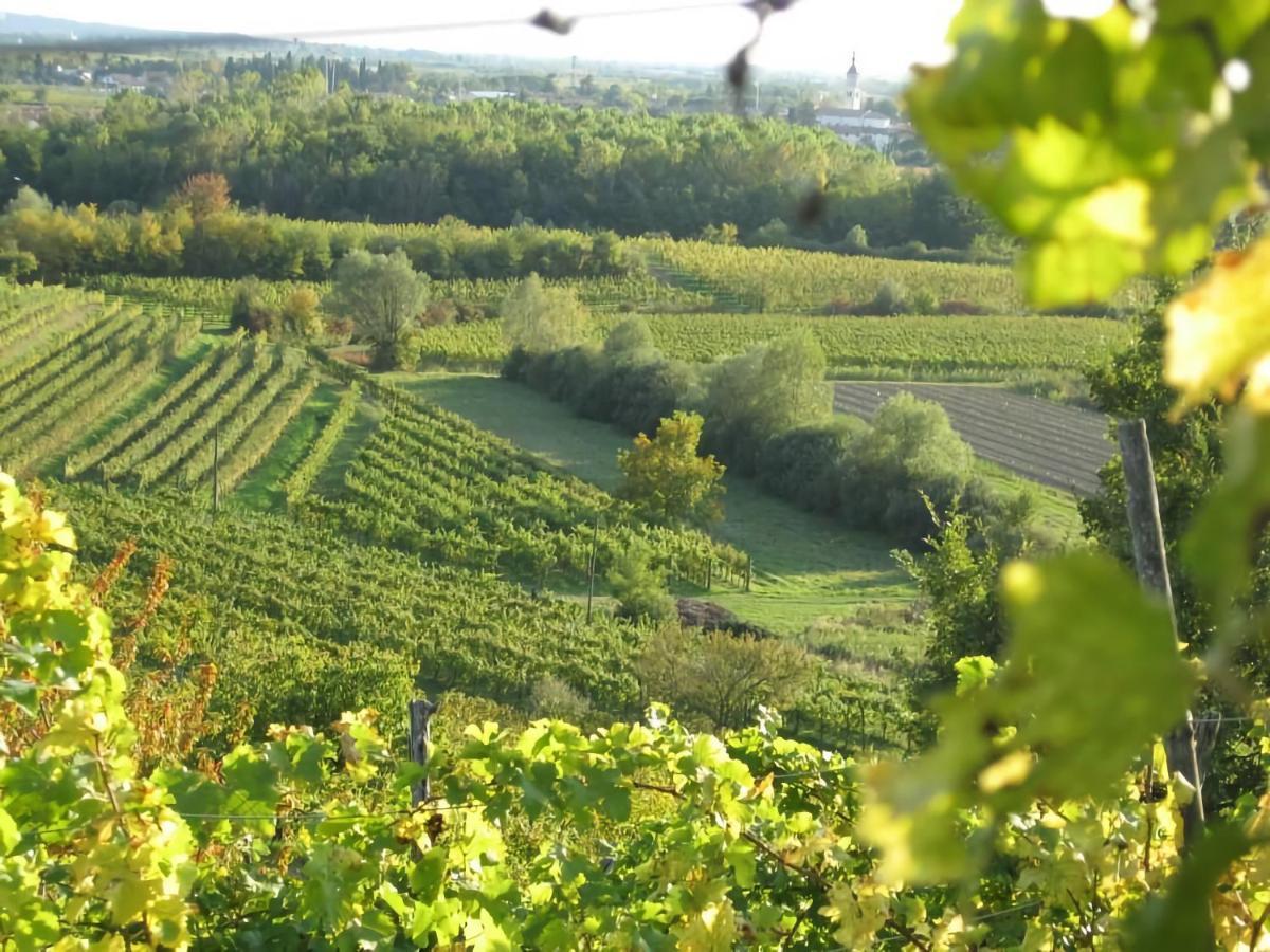 Capriva Del Friuli - Casa Roncus Villa Kültér fotó